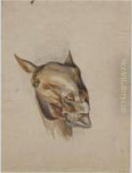 Studies Of The Head Of A Horse Oil Painting by Landseer, Sir Edwin