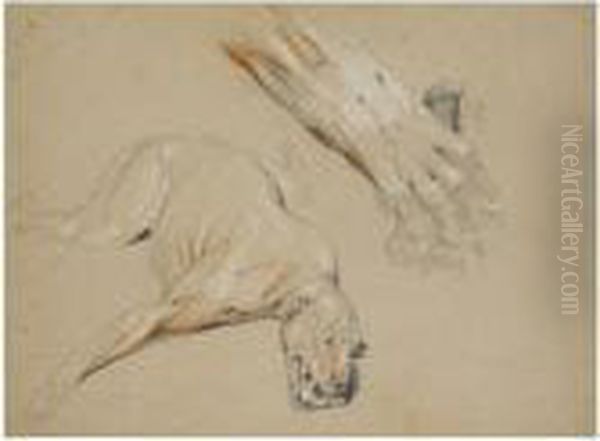 A Wild Cat And The Paw Of A Wild Cat Oil Painting by Landseer, Sir Edwin