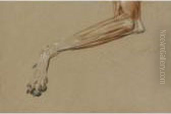 A Dog's Leg Oil Painting by Landseer, Sir Edwin