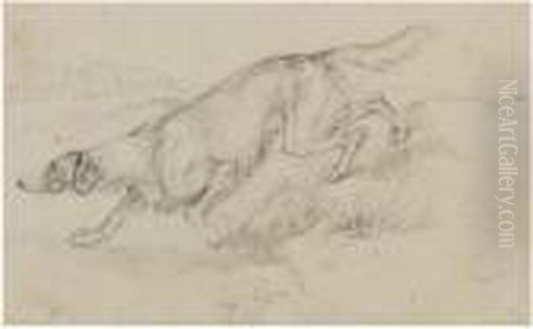 Animal Studies Oil Painting by Landseer, Sir Edwin