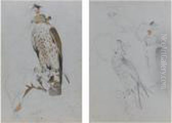 Two Studies Of Hawks Oil Painting by Landseer, Sir Edwin