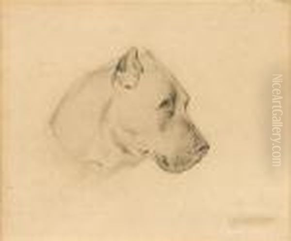 Portrait Of A Dog Oil Painting by Landseer, Sir Edwin