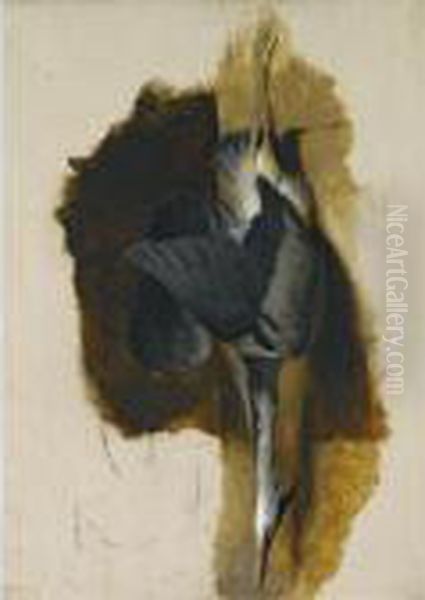 Study Of A Dead Heron Oil Painting by Landseer, Sir Edwin