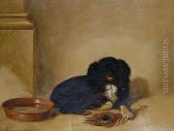 Portrait Of A Spaniel Oil Painting by Landseer, Sir Edwin