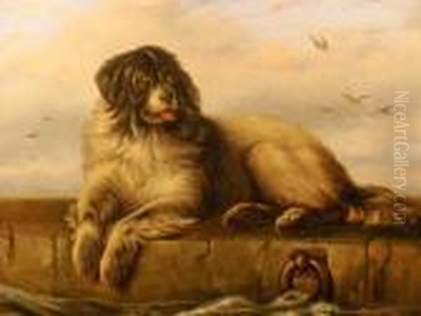 A Study Of A St Bernard On Quayside Oil Painting by Landseer, Sir Edwin