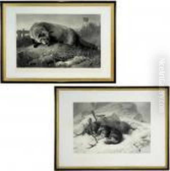 Not Caught Yet Oil Painting by Landseer, Sir Edwin