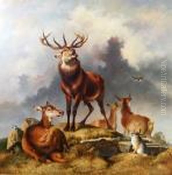 Oil On Canvas Oil Painting by Landseer, Sir Edwin