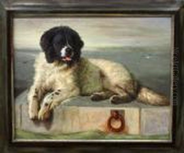 Newfoundland Oil Painting by Landseer, Sir Edwin