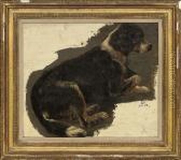 Study Of A Sheep Dog Oil Painting by Landseer, Sir Edwin