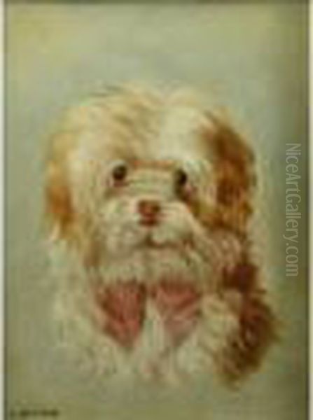 Portrait Of A Small Dog Oil Painting by Landseer, Sir Edwin