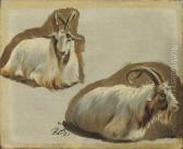 Studies Of Ibex Oil Painting by Landseer, Sir Edwin