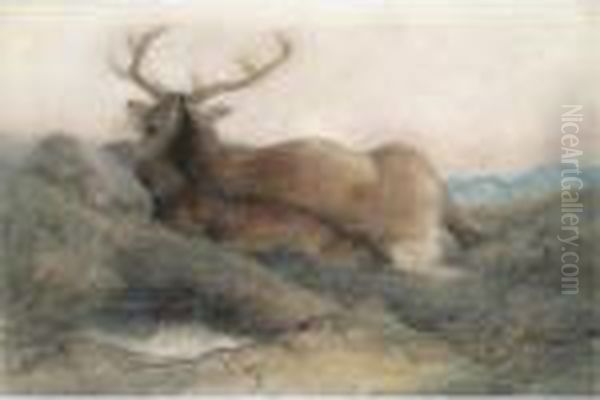 A Stag At Tarbet Oil Painting by Landseer, Sir Edwin