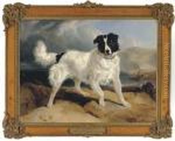 Neptune, The Property Of W. Ellis Gosling, Esq. Oil Painting by Landseer, Sir Edwin