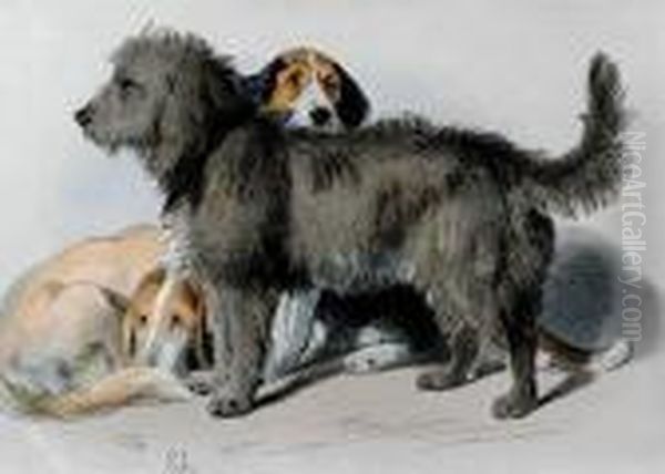 Pair Of Works: The Three Dogs And Sleeping Bloodhound Oil Painting by Landseer, Sir Edwin