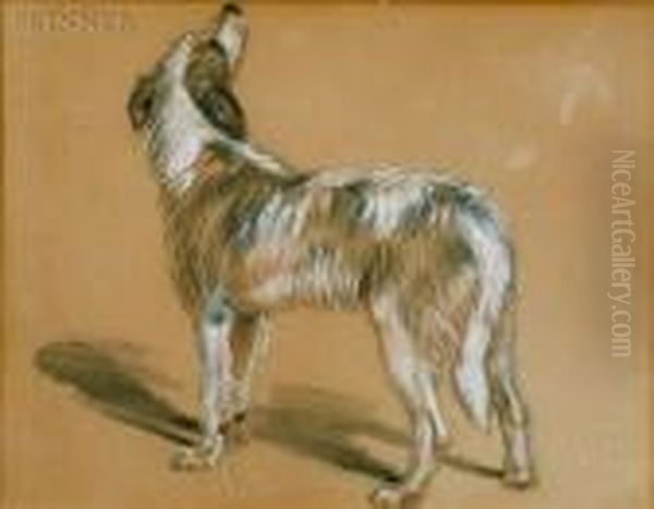 Sketch Of A Dog Oil Painting by Landseer, Sir Edwin