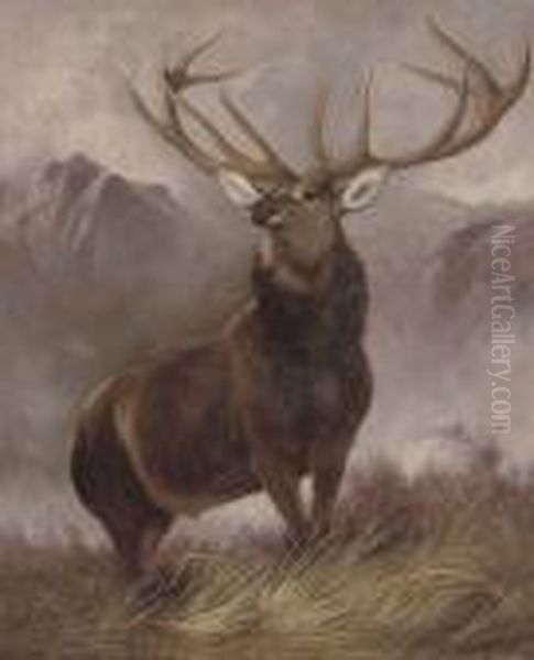 The Monarch Of The Glen Oil Painting by Landseer, Sir Edwin