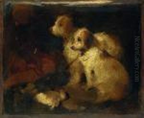 Study Of Two Dogs Oil Painting by Landseer, Sir Edwin