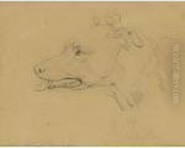 Study Of The Head Of A Greyhound Oil Painting by Landseer, Sir Edwin