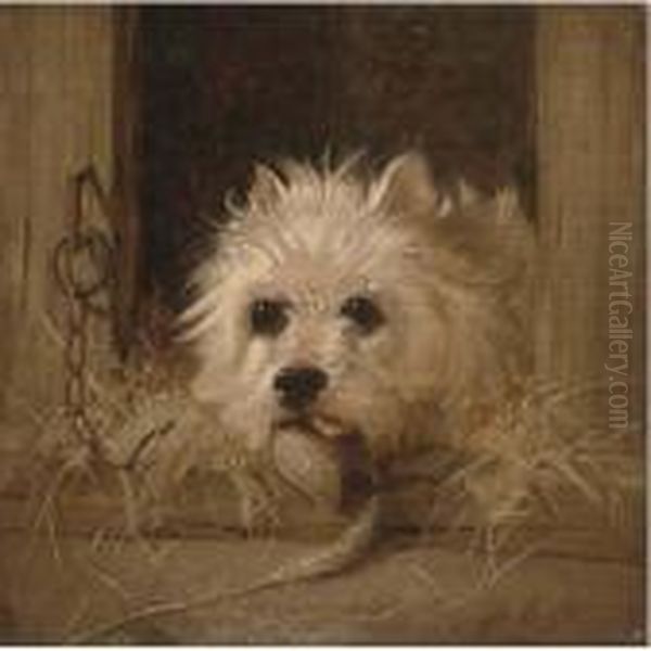 Impudence Oil Painting by Landseer, Sir Edwin