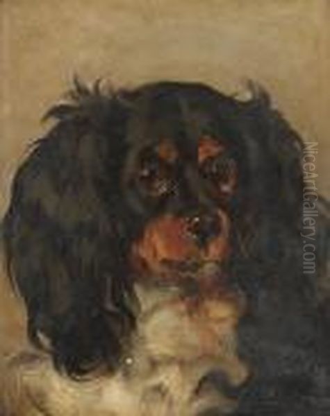 Head Study Of A Cavalier King Charles Spaniel Oil Painting by Landseer, Sir Edwin