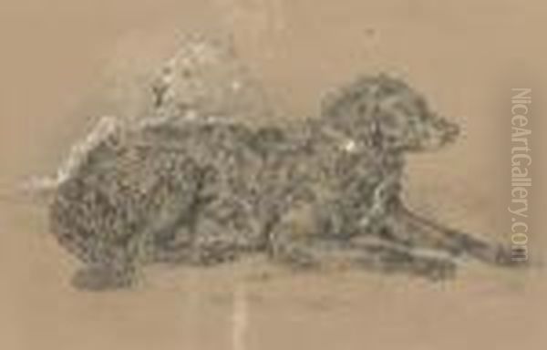 Study Of Two Dogs, One Possibly A Water Spaniel Oil Painting by Landseer, Sir Edwin