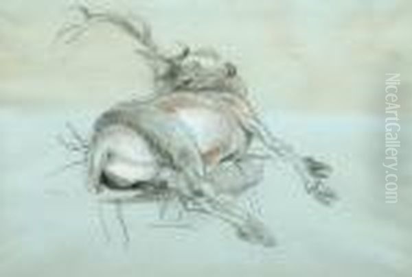 Study Of A Dead Stag Oil Painting by Landseer, Sir Edwin