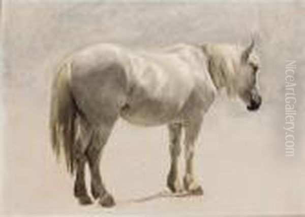 A Highland Pony Oil Painting by Landseer, Sir Edwin