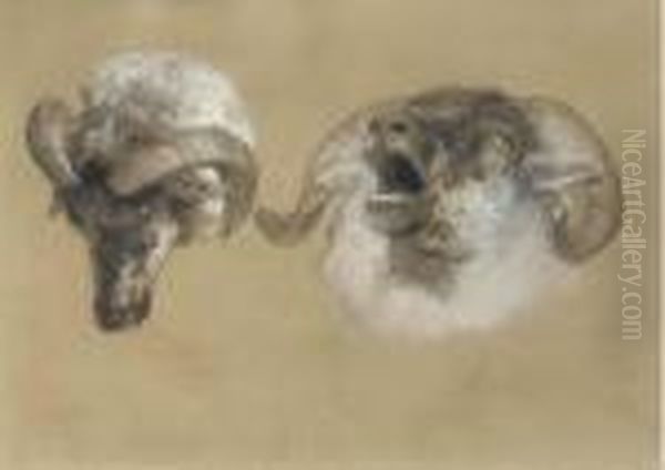 Study Of Ram's Heads Oil Painting by Landseer, Sir Edwin