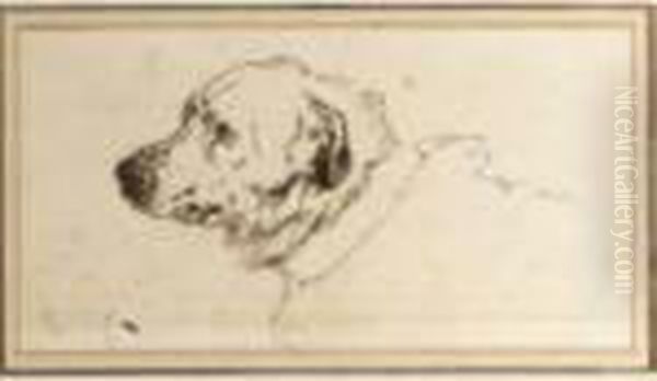 Head Of A Mastiff Oil Painting by Landseer, Sir Edwin