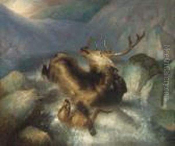 Deer And Deerhounds In A Mountain Torrent Oil Painting by Landseer, Sir Edwin