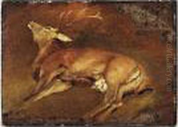 Study Of A Dead Stag Oil Painting by Landseer, Sir Edwin