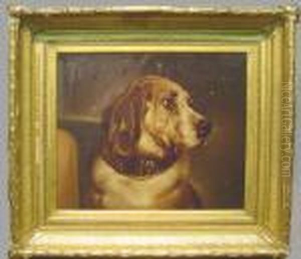 Portrait Of 'odin' Oil Painting by Landseer, Sir Edwin