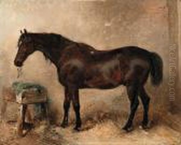 Lord Charles Russell's Charger, Pretender, In A Stable Oil Painting by Landseer, Sir Edwin