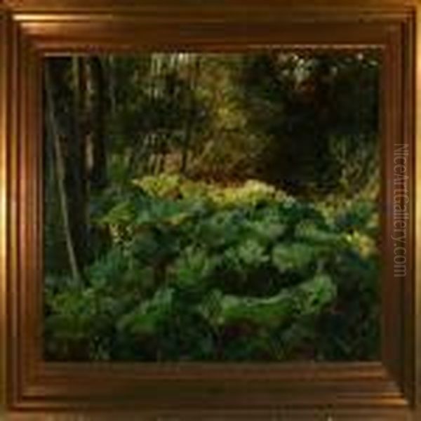 Forest Floor With Docks In Sunlight Oil Painting by Olaf Viggo Peter Langer