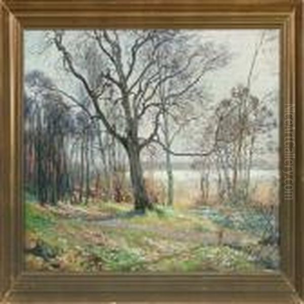 Spring Forest With Anemone Oil Painting by Olaf Viggo Peter Langer