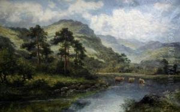 Highland Cattle Watering Oil Painting by William Langley