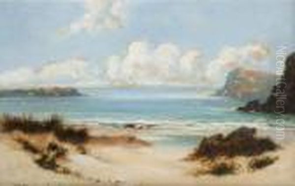 Sand Dunes With Gulls Oil Painting by William Langley