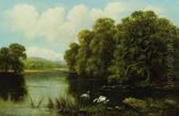 Swans On The River Oil Painting by William Langley