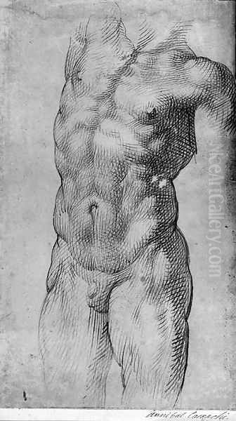 Study for a torso Oil Painting by Bartolomeo Passerotti