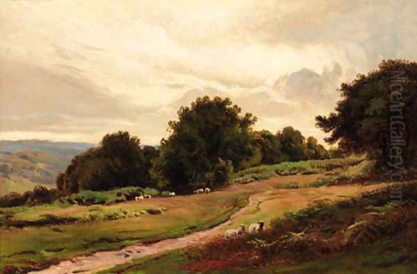 Sheep on a hillside Oil Painting by Sidney Richard Percy