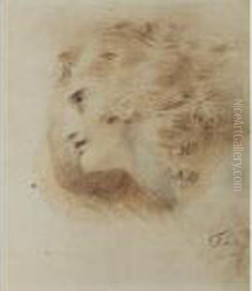 Study For The Head Of A Man Oil Painting by Sir Thomas Lawrence