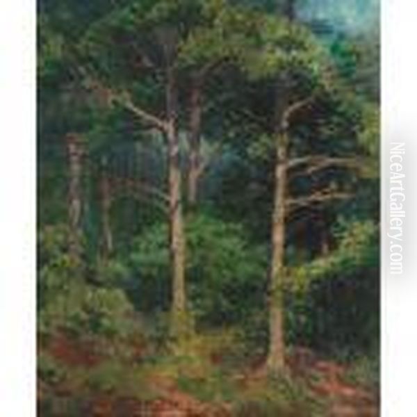 Connecticut Forest Oil Painting by Ernest Lawson