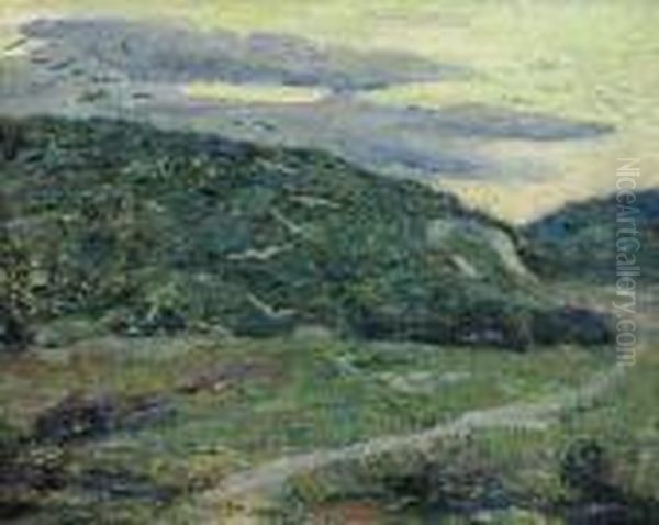 Seagulls By The Coast Oil Painting by Ernest Lawson