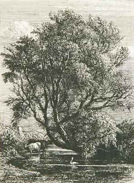 The Willow Oil Painting by Samuel Palmer