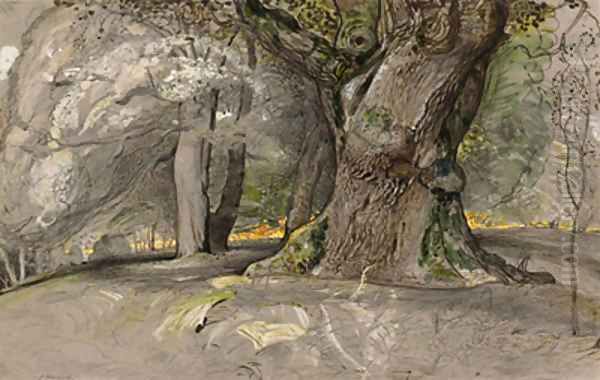 Oak tree and beech, Lullingstone Park Oil Painting by Samuel Palmer