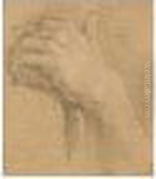 A Pair Of Studies Of Hands Oil Painting by Charles Lebrun