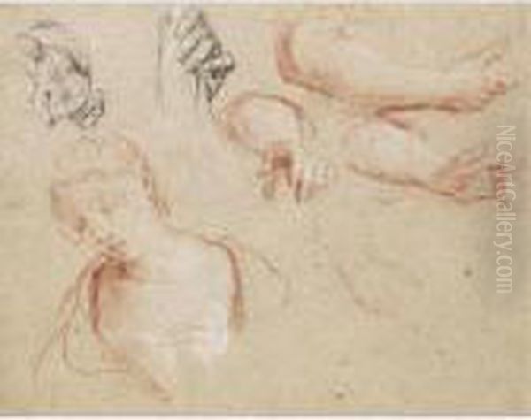 Sheet Of Studies Of Hands, Arms And A Young Woman, Head And Shoulders Oil Painting by Francois Lemoine (see Lemoyne)