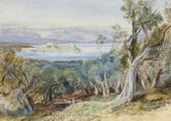 Distant View Of The Citadel From Analipsis, Corfu Oil Painting by Edward Lear