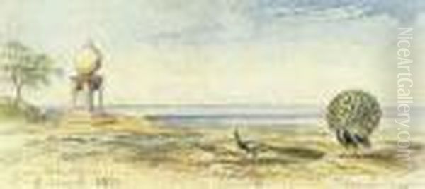 Peacocks Near Bhurtpore, Northern India Oil Painting by Edward Lear