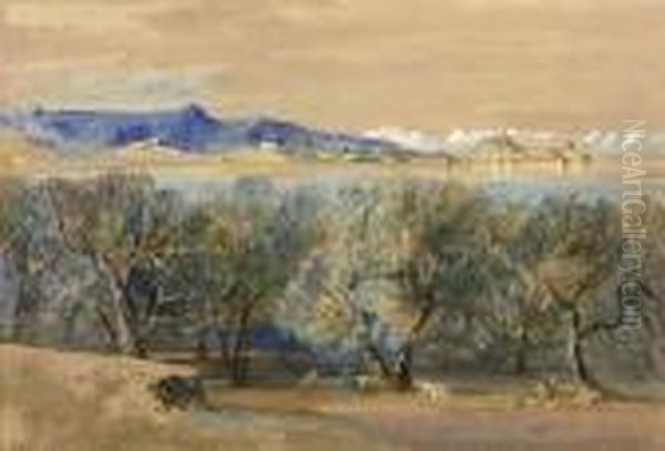 Distant View Of The Citadel, From Analipsis, Corfu Oil Painting by Edward Lear